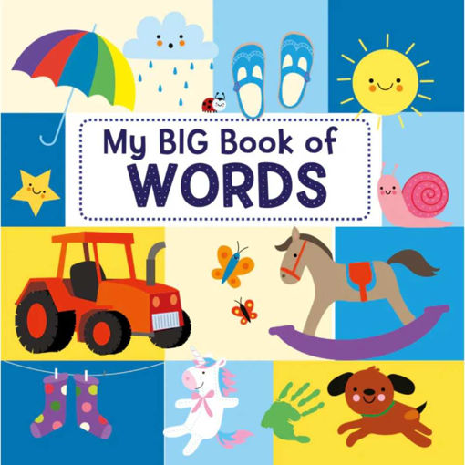 Picture of MY BIG BOOK OF WORDS PICTURE BOOK